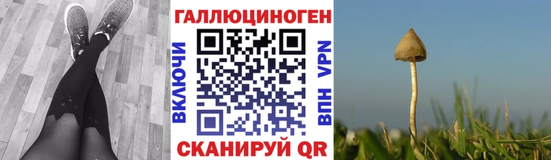 OMG зеркало  Верхняя Тура  Псилоцибиновые грибы прущие грибы  наркотики 